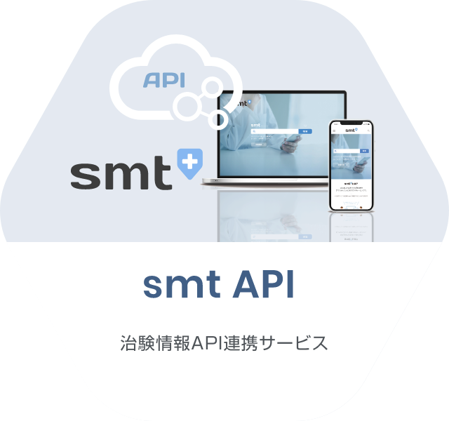 smt APIサービス