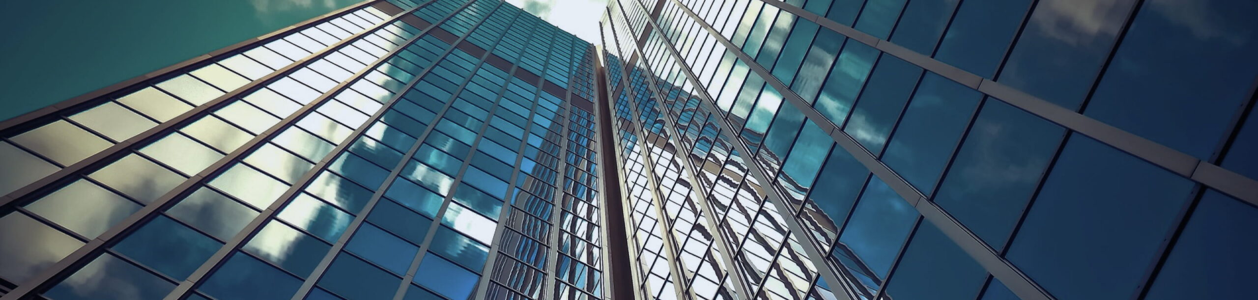 パートナー企業